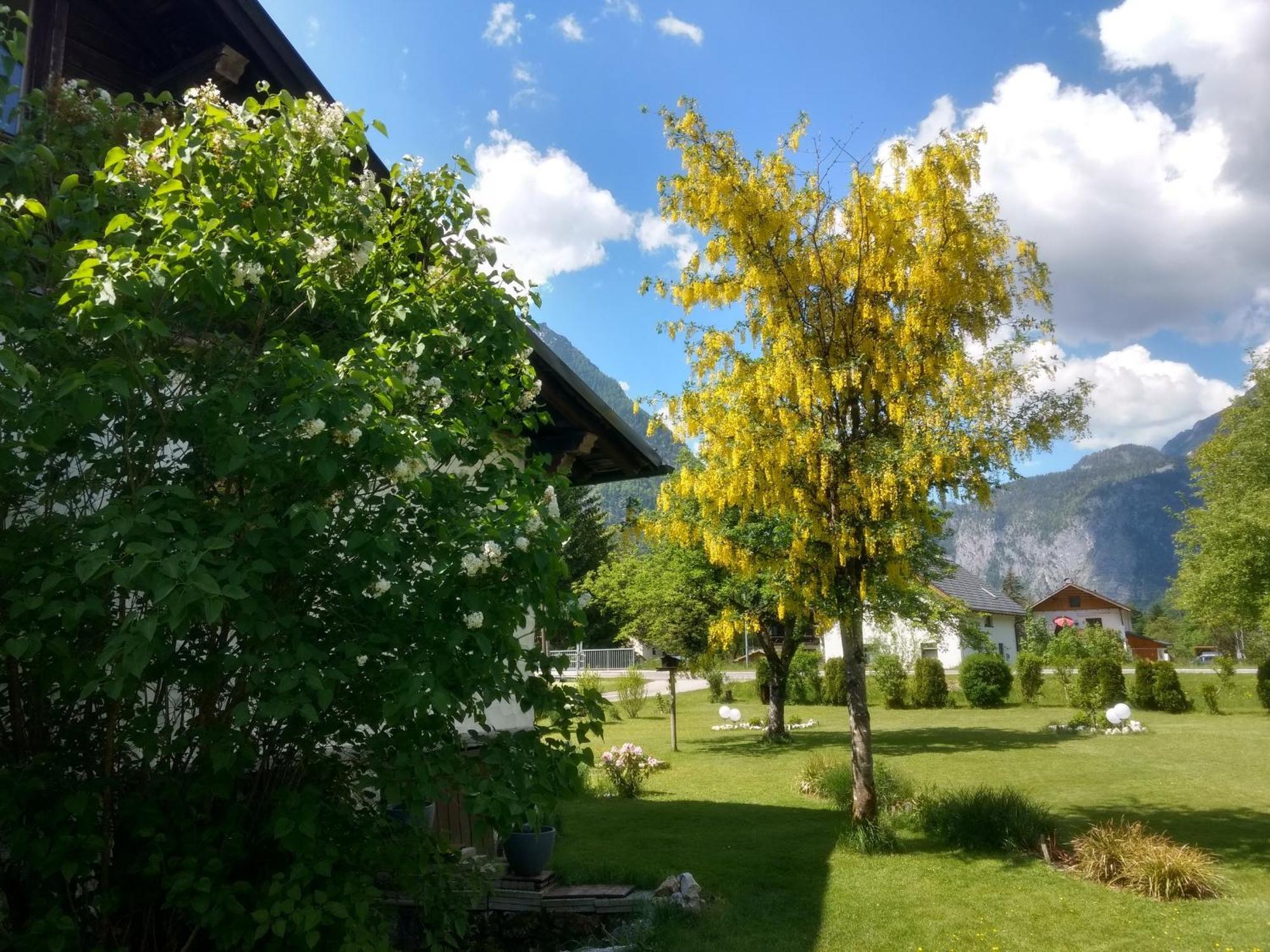 Appartement Haus Alpenblick à Obertraun Extérieur photo