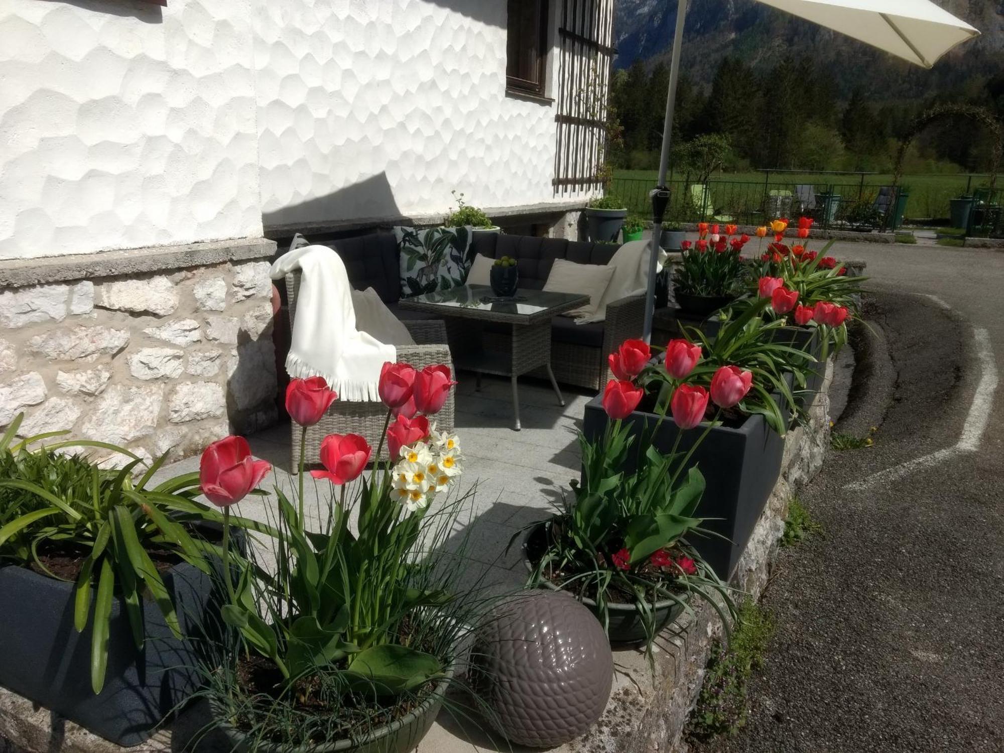 Appartement Haus Alpenblick à Obertraun Extérieur photo