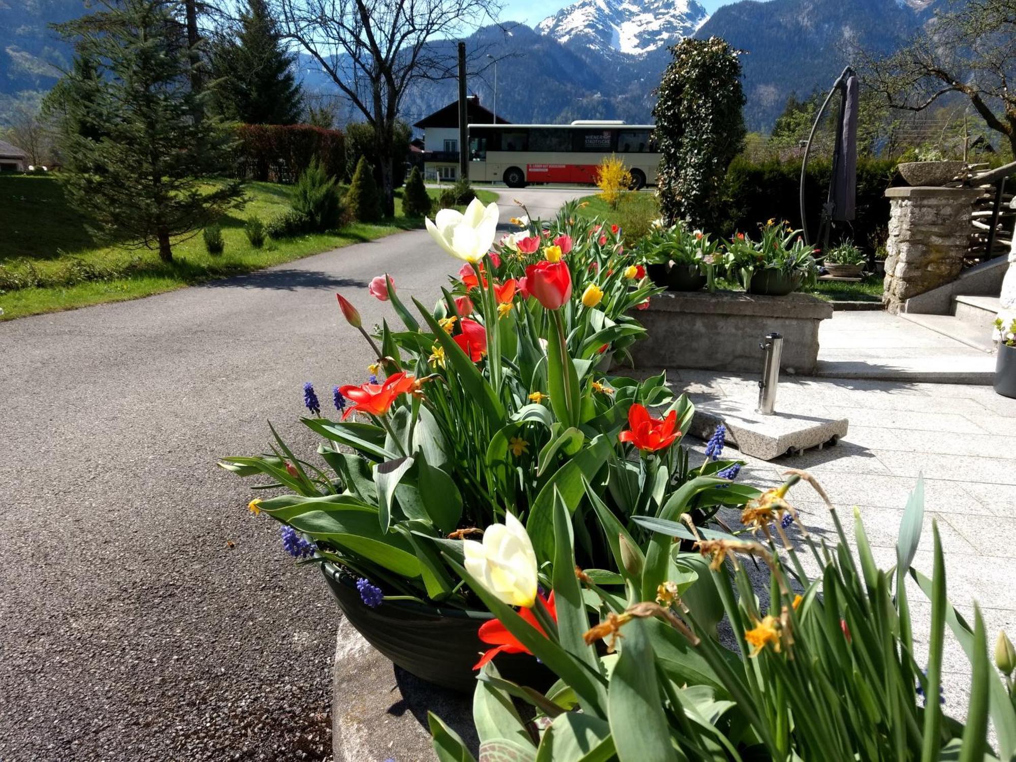 Appartement Haus Alpenblick à Obertraun Extérieur photo