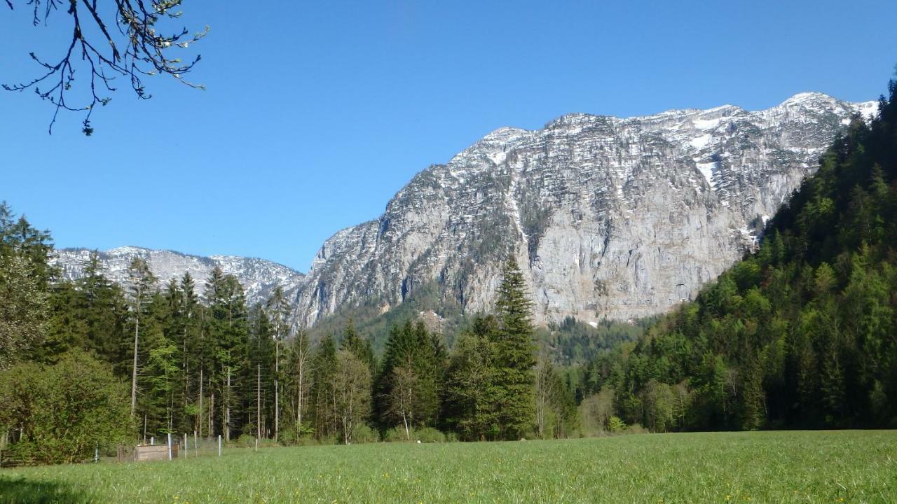 Appartement Haus Alpenblick à Obertraun Extérieur photo